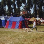1998_14_.jpg