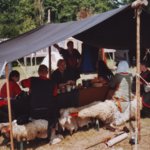2003_29_NS.jpg