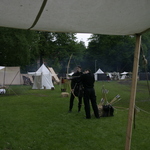 img_7204.jpg