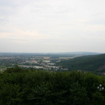 img_7795.jpg