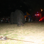 img_7875.jpg