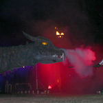 img_7877.jpg