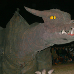 img_7883.jpg