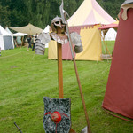 img_8321.jpg