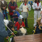 img_8348.jpg