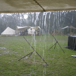 img_8355.jpg