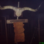 dsc00102.jpg