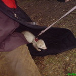 dsc00105.jpg