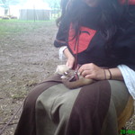 dsc00107.jpg
