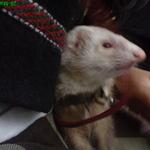 dsc00108.jpg