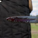 crw_0770.jpg