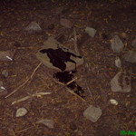 dsc00360.jpg