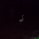 dsc00389.jpg