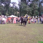 dsc00445.jpg
