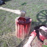 dsc00449.jpg