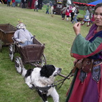 imgp2459.jpg
