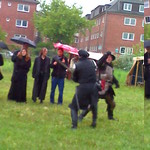 moto_0219.jpg