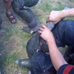IMG_0149.jpg