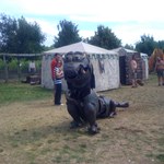 IMG_0162.jpg