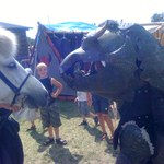 IMG_0171.jpg