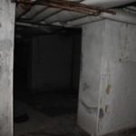 DSC_5043.jpg