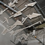 DSC_5054.jpg