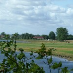 Famra_Horn009.jpg