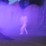 DSC_6034.jpg