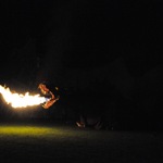 DSC_6127.jpg