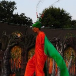 DSC_6233.jpg