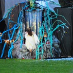 DSC_6260.jpg