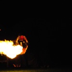 DSC_6313.jpg