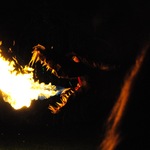 DSC_6316.jpg
