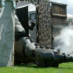 Famra_Horn058.jpg