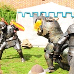 DSC_6426.jpg